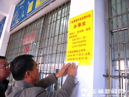 玉林市多措并舉破局香蕉銷售難，全力守護蕉農(nóng)“錢袋子”